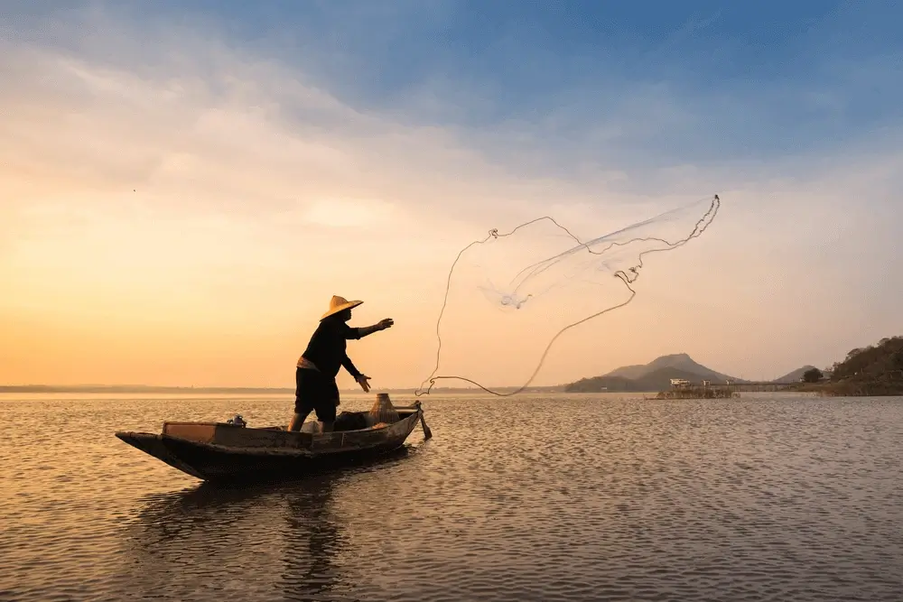 An angler carefully releasing a fish back into the water.